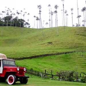 Tres destinos (Salento, Valle Del Cócora, Finlandia)