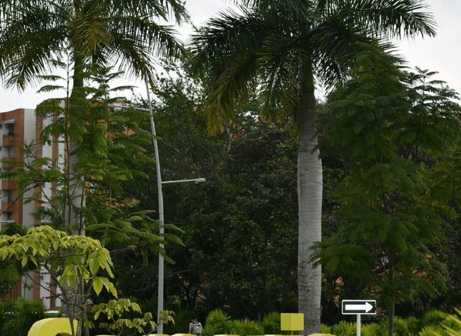 Apartamento Amoblado – SAMARIA, Ibagué